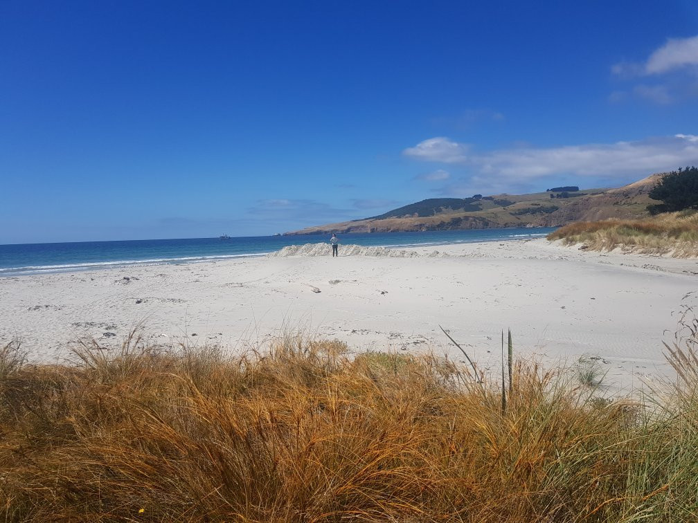 Long Beach-但尼丁必去景点