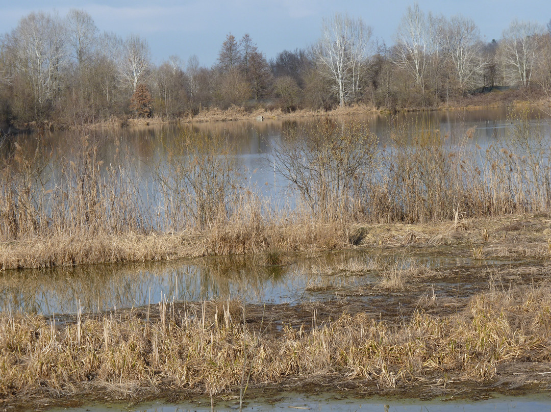 Oasi Naturalistica la Madonnina-Sant'Albano Stura必去景点