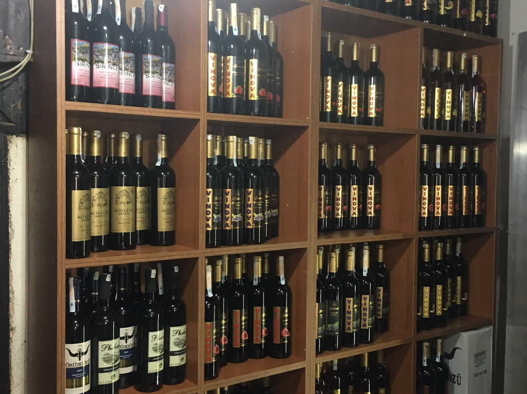 Kırkınca Sarap Evi-塞尔丘克必去景点