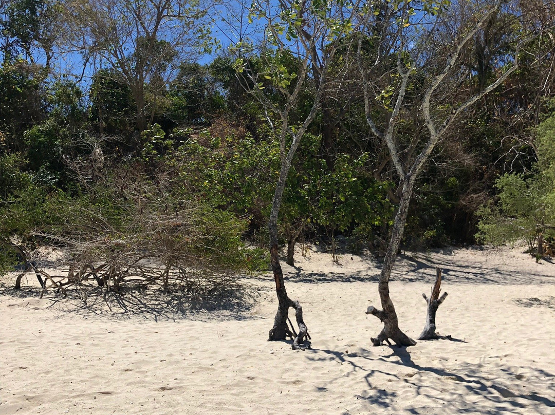 Cheron Island-科隆必去景点