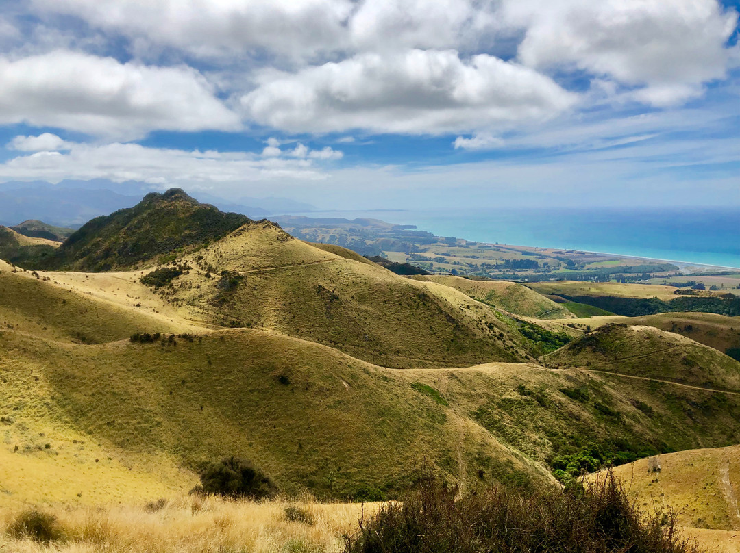 Kaikoura Coastal Track景点图片