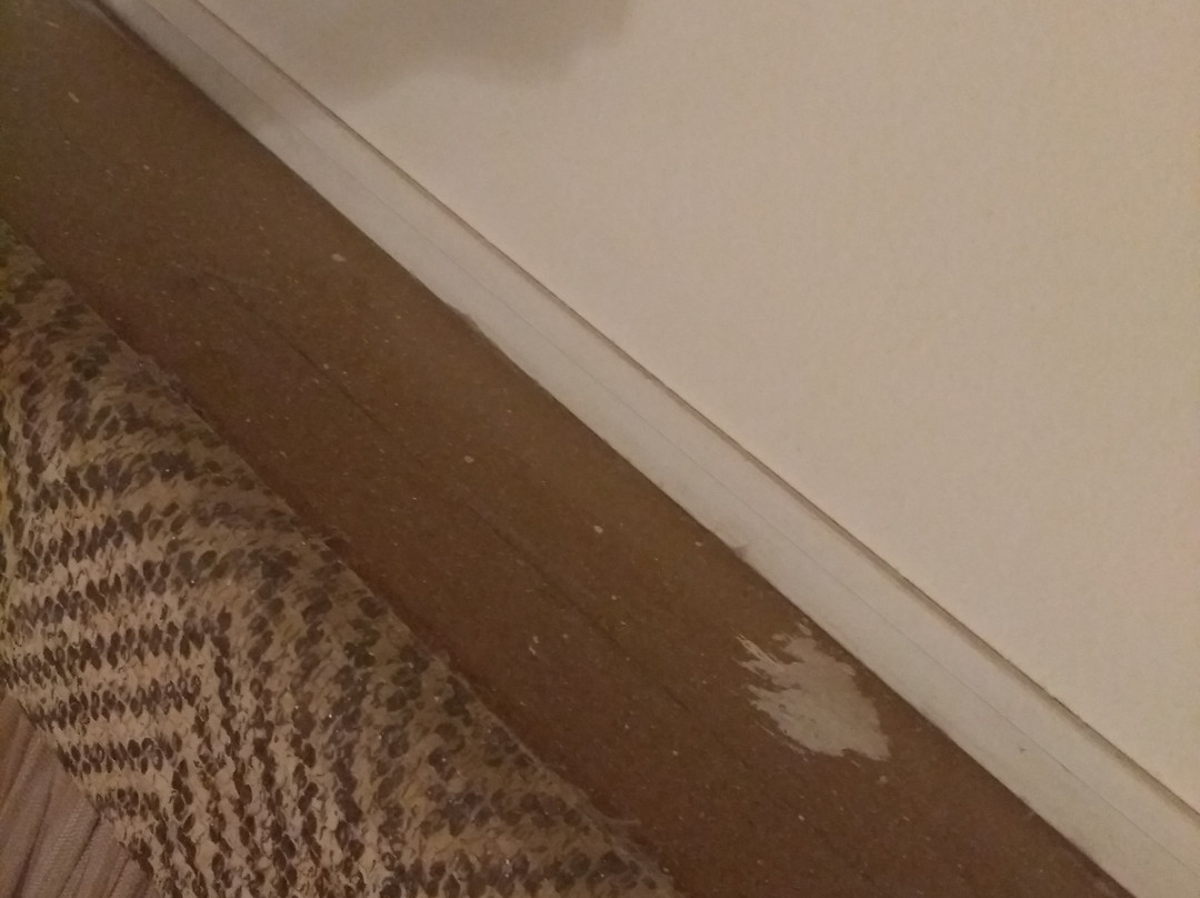 Hotel Del Lago主图