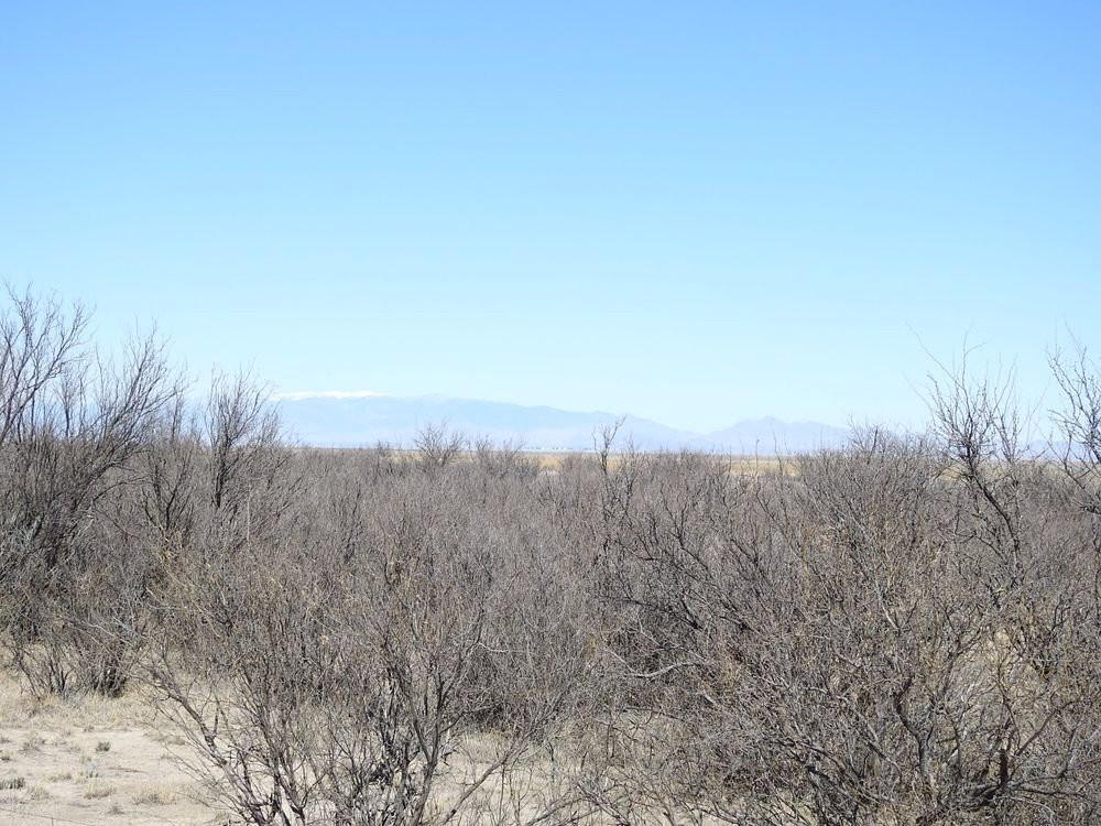 Apache Station Wildlife Viewing Area景点图片