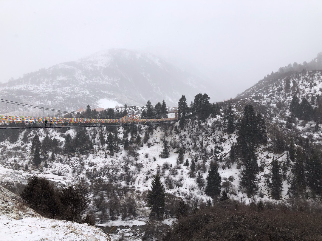 鹧鸪山景点图片