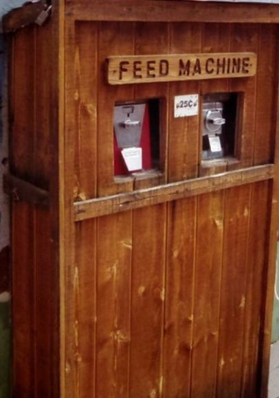 Page Springs Fish Hatchery-Cornville必去景点