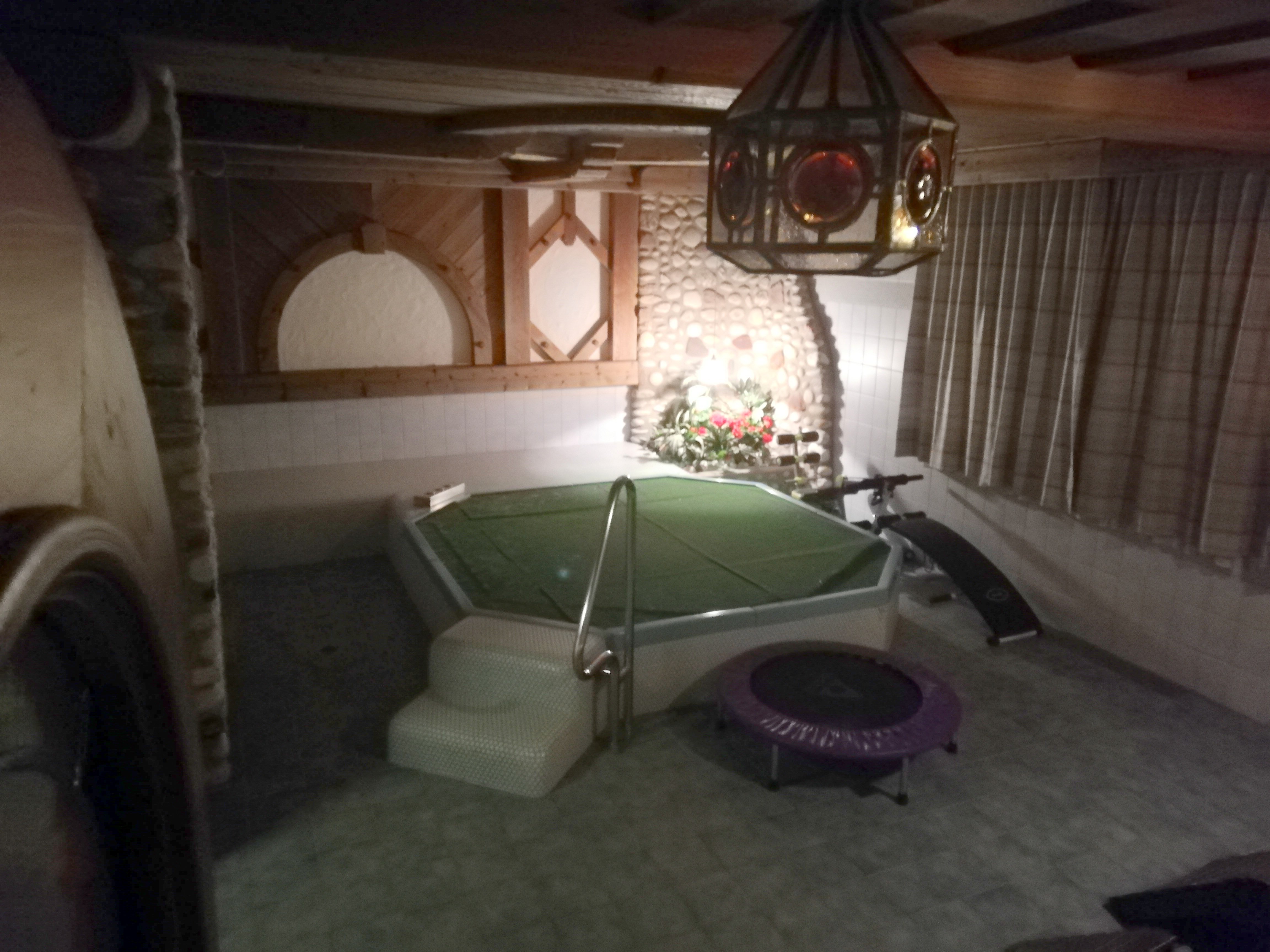 Hotel Faerberwirt-泳池