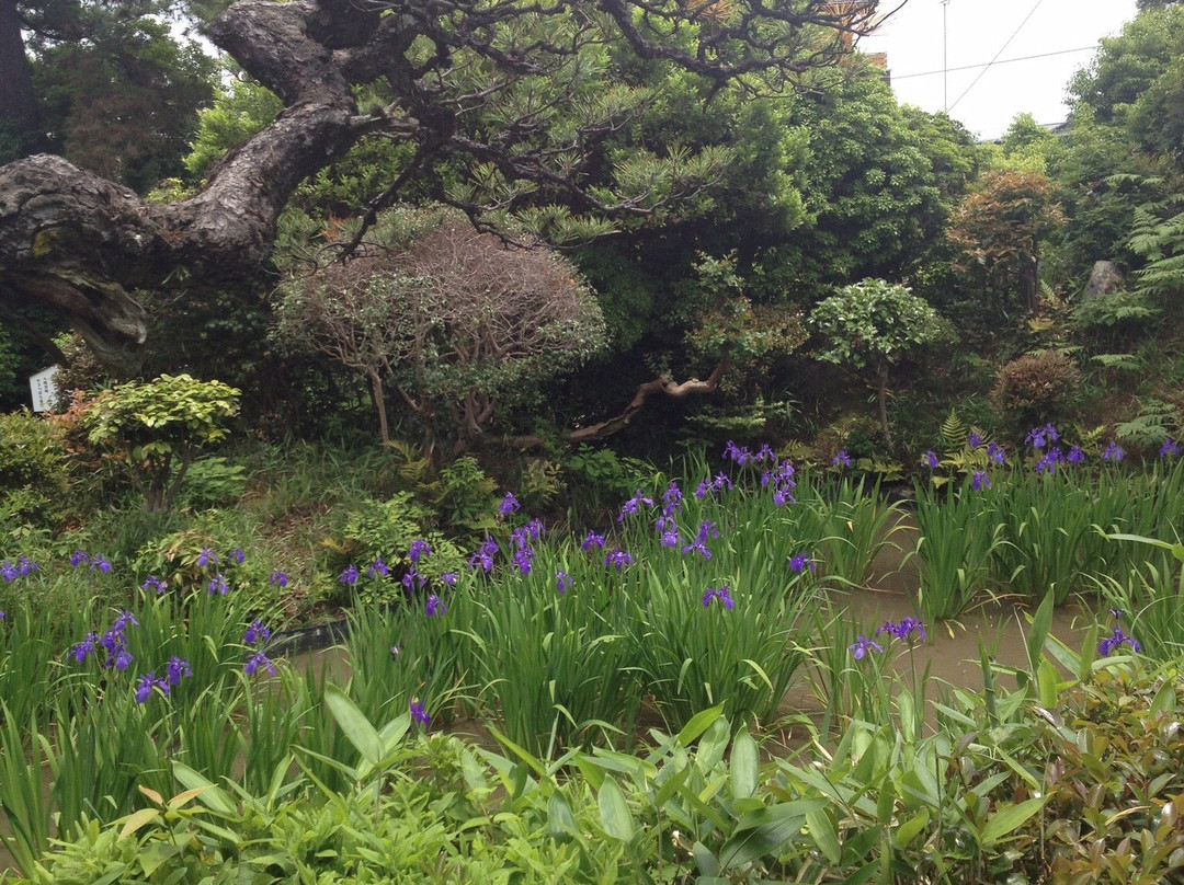 Muryoju-ji Temple-草津市必去景点