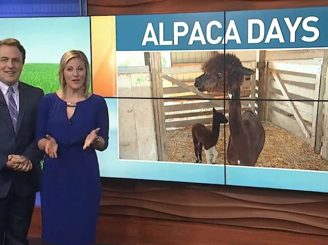 Windy Hill Farm-Fairborn必去景点