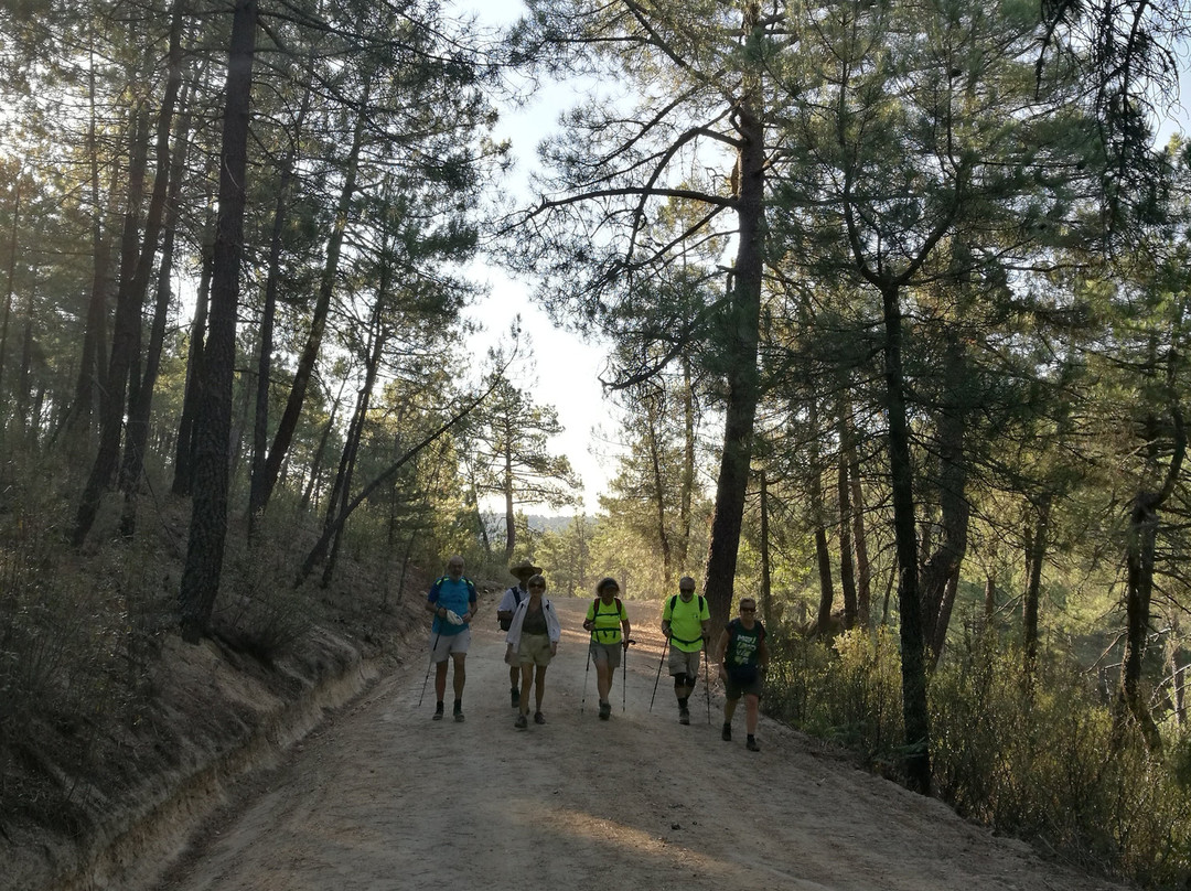 Embalse de la Jarosa-Guadarrama必去景点