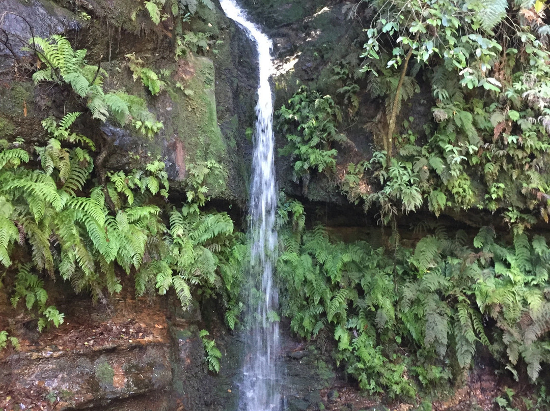 Blue Mountains Visitor Information-卡通巴必去景点