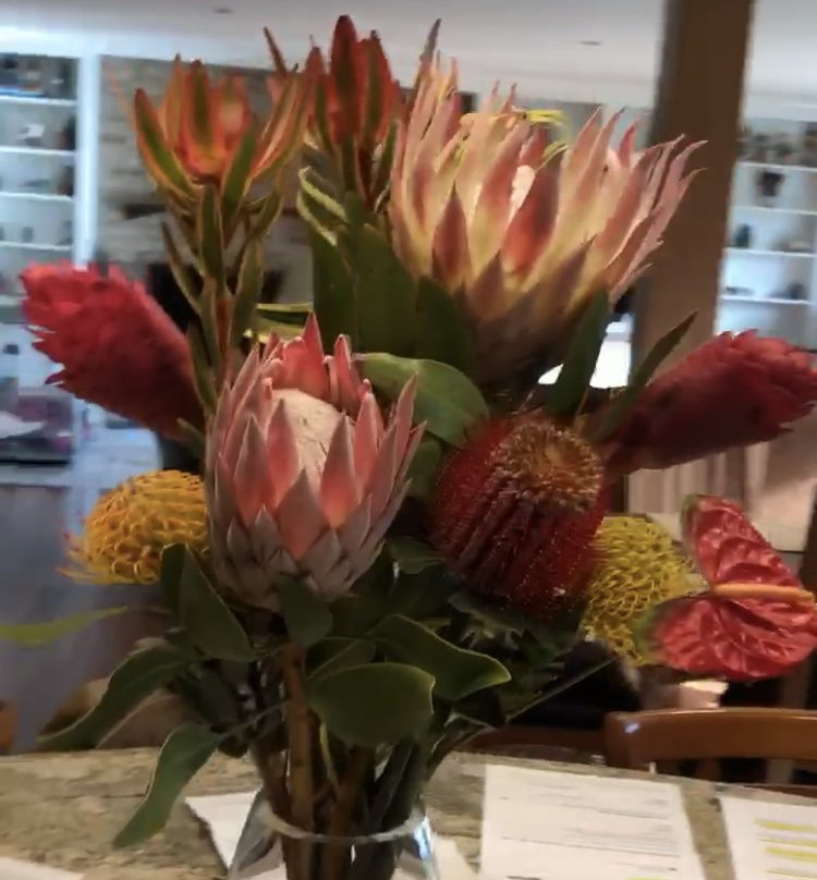 No Ka Oi Protea Farm-库拉必去景点