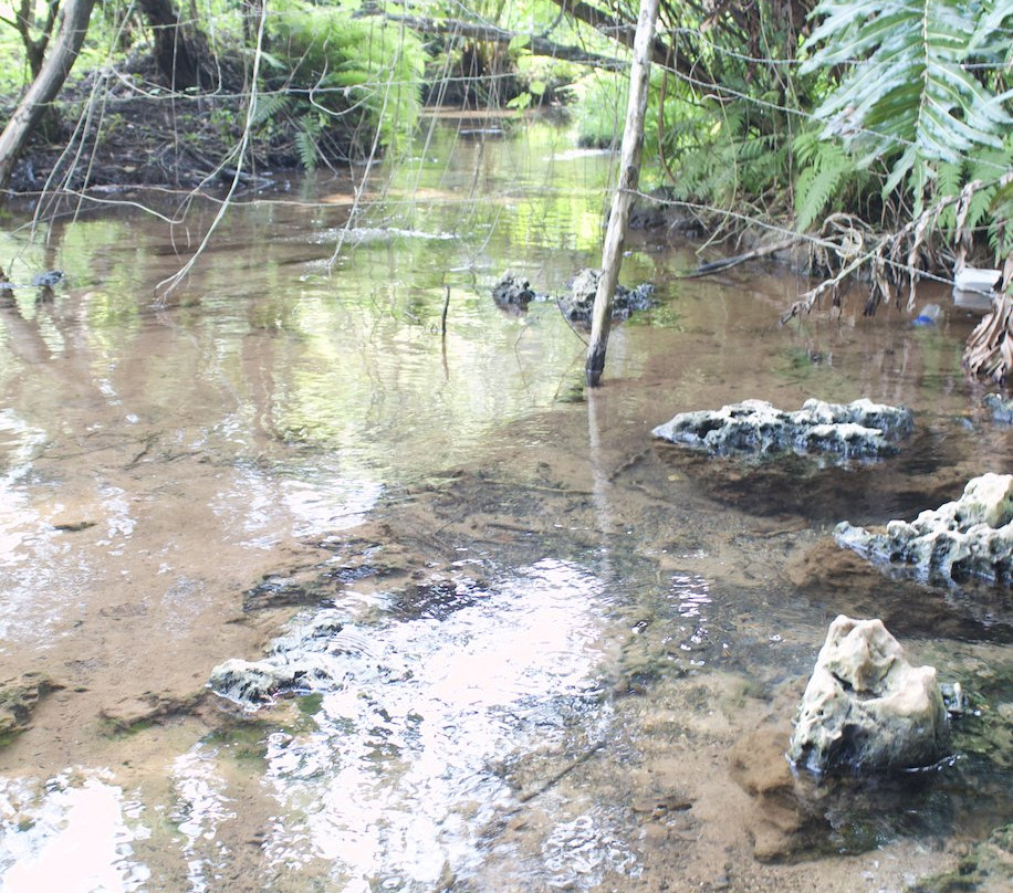 Las Cuevas de Cabarete-喀巴里特必去景点