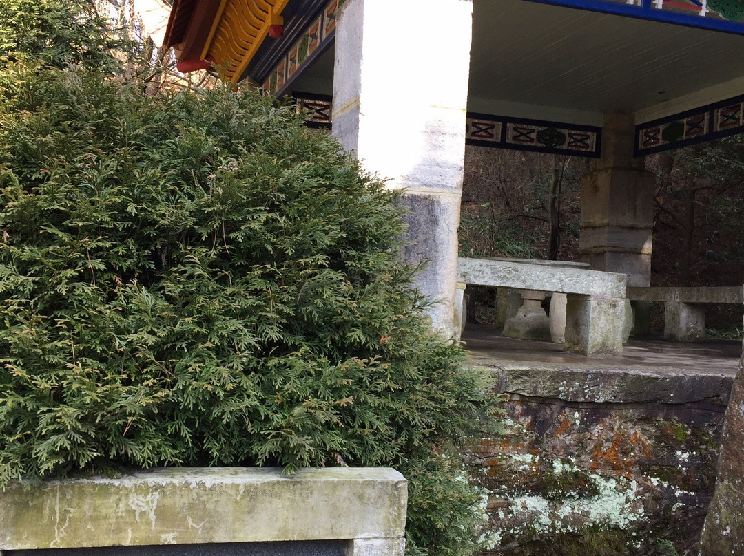 九江花径公园景点图片