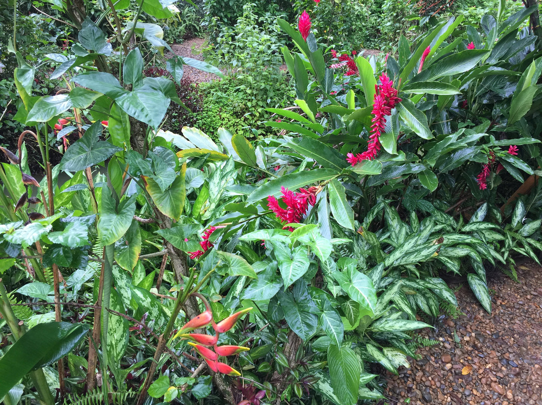 Mariposario Tambopata景点图片