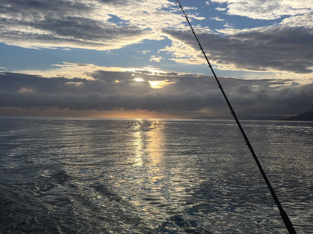 Puerto San Carlos旅游攻略图片