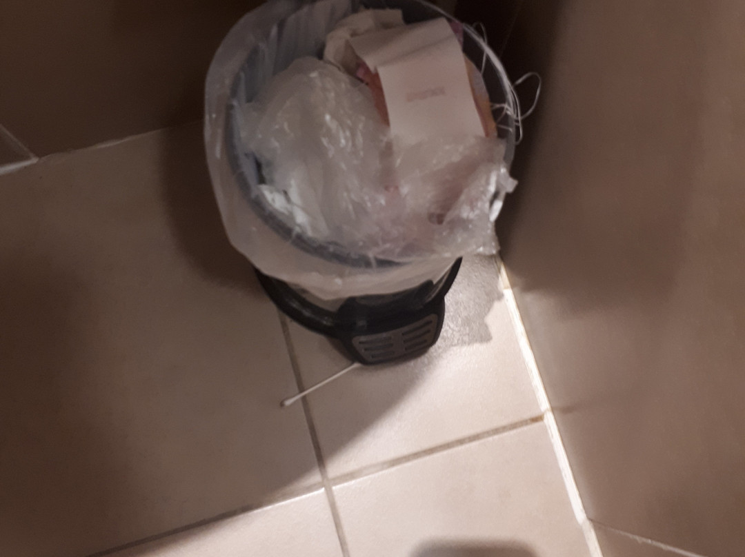 松林酒店主图