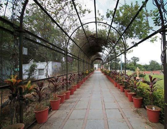 Sneh Rashmi Botanical Garden-苏拉特必去景点
