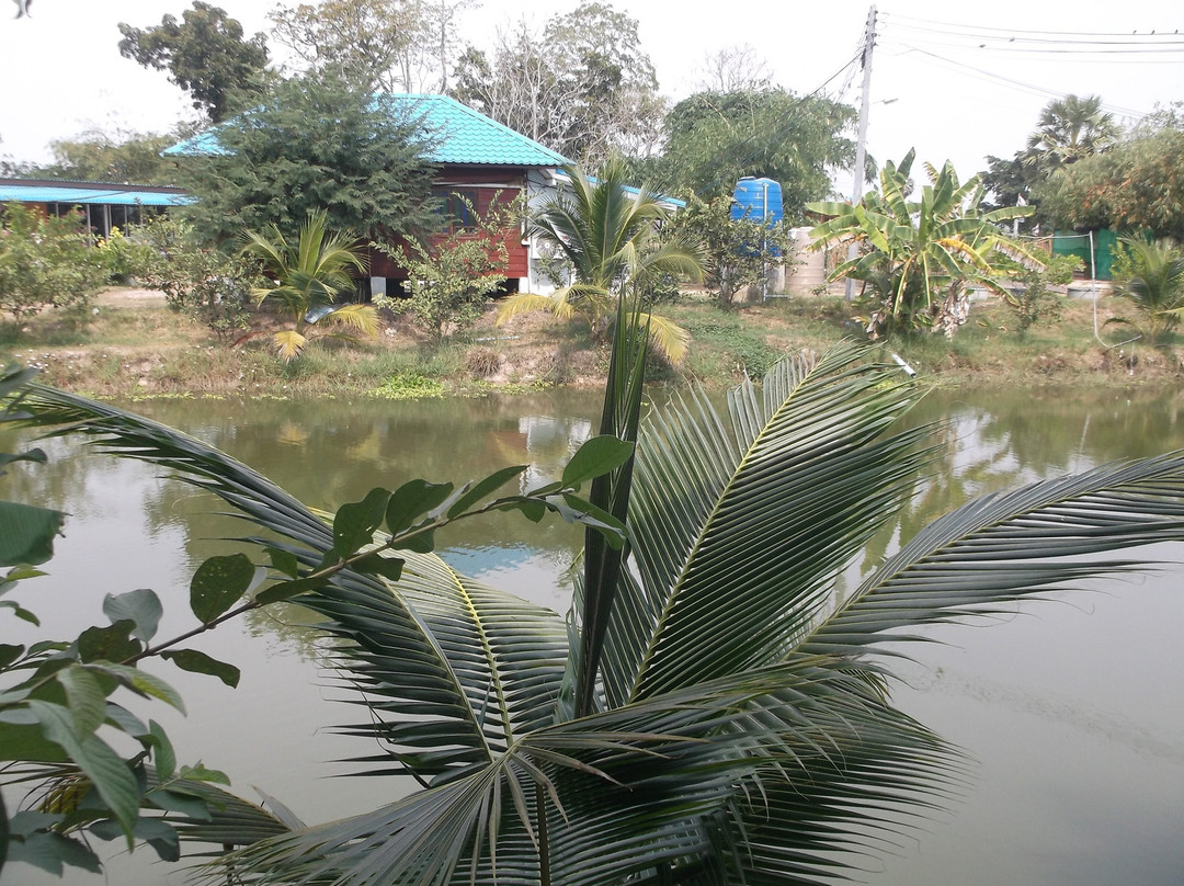 BN Organic Farm Resort主图
