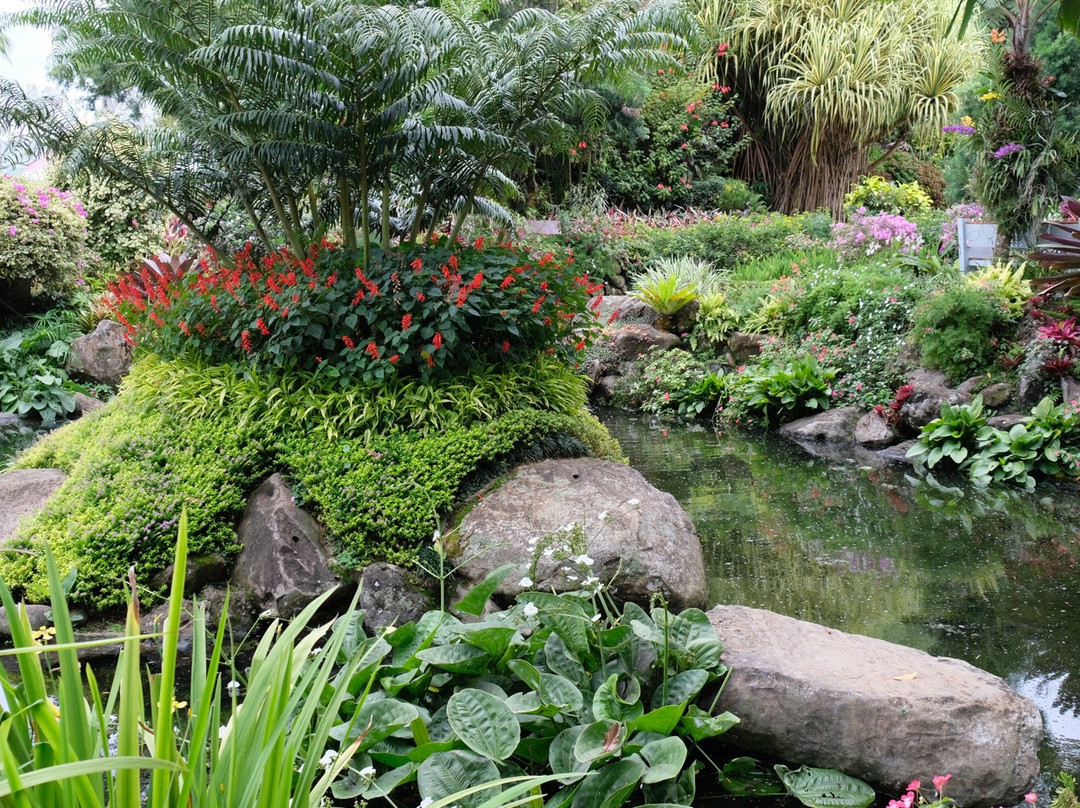 Tamayong Prayer Mountain-达沃必去景点