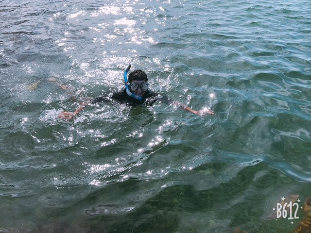 Goat Island Dive & Snorkel景点图片