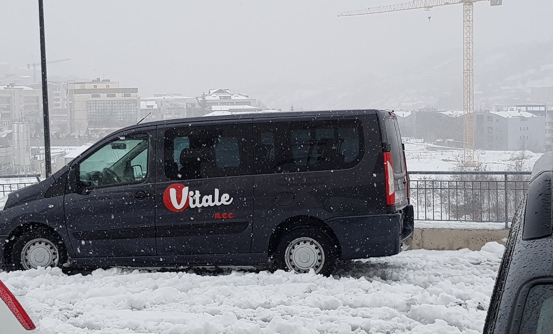 Vitale NCC景点图片