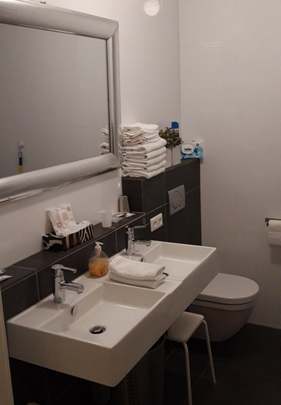 Hostellerie Het Riet主图