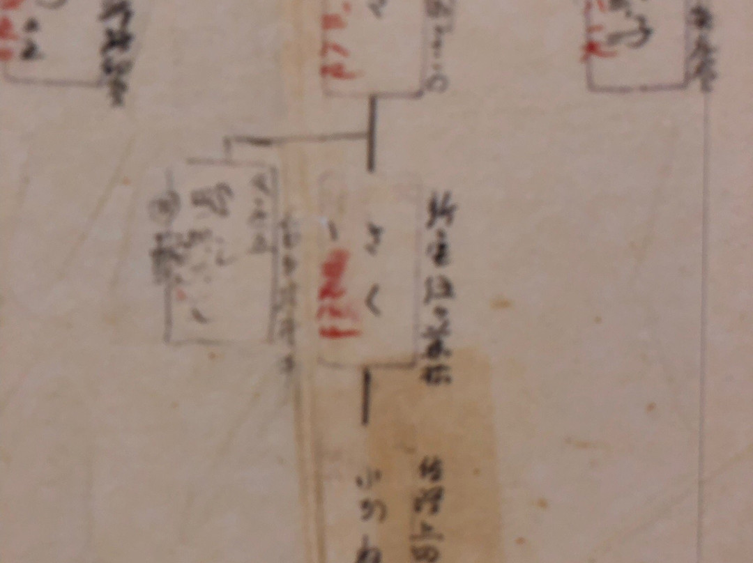 Tajima Ranch Park-新温泉町必去景点