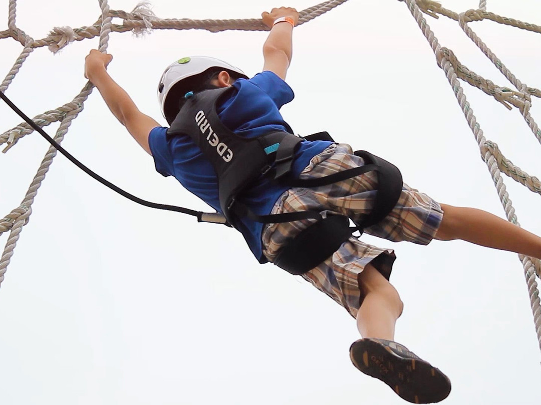 Ascent Aerial Park景点图片