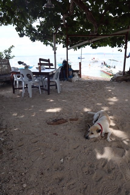 薄荷岛的黎明住宿加早餐旅馆-浴室