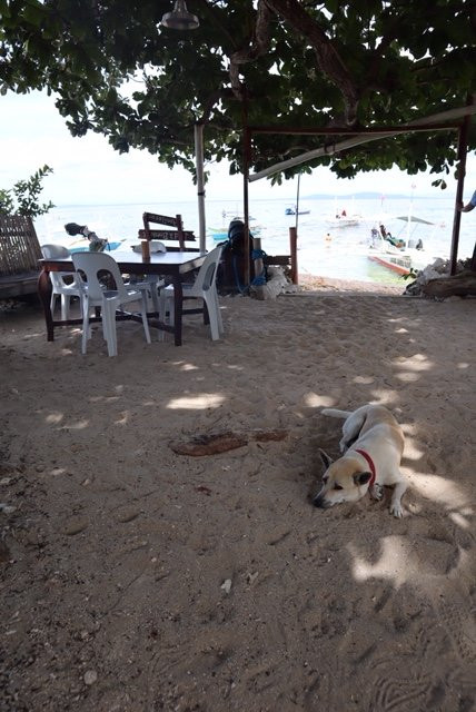 薄荷岛的黎明住宿加早餐旅馆主图