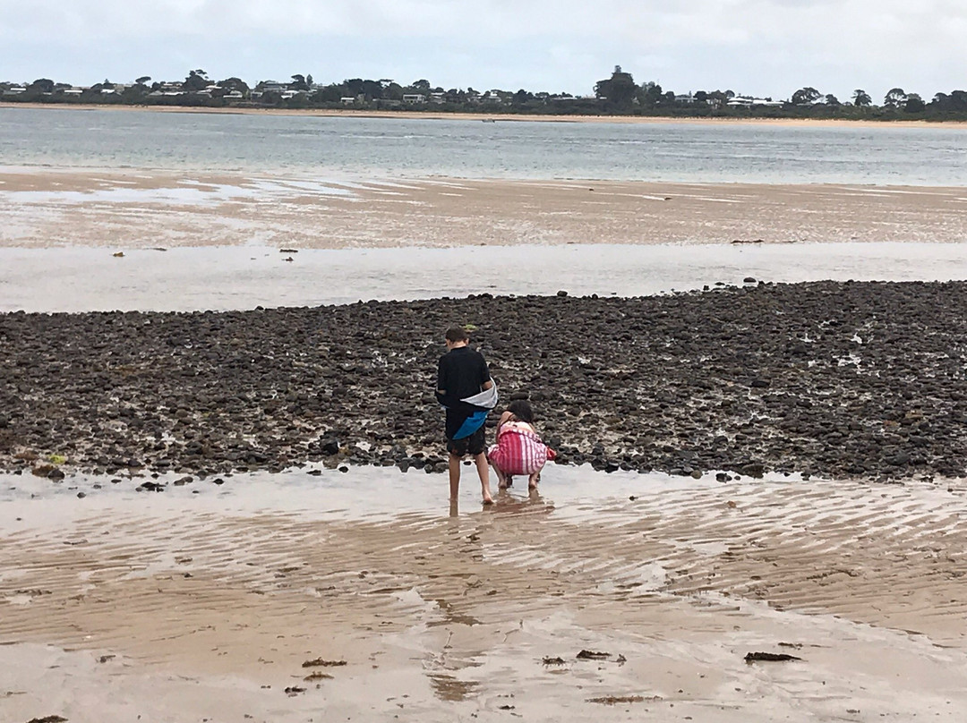 Childrens Beach景点图片