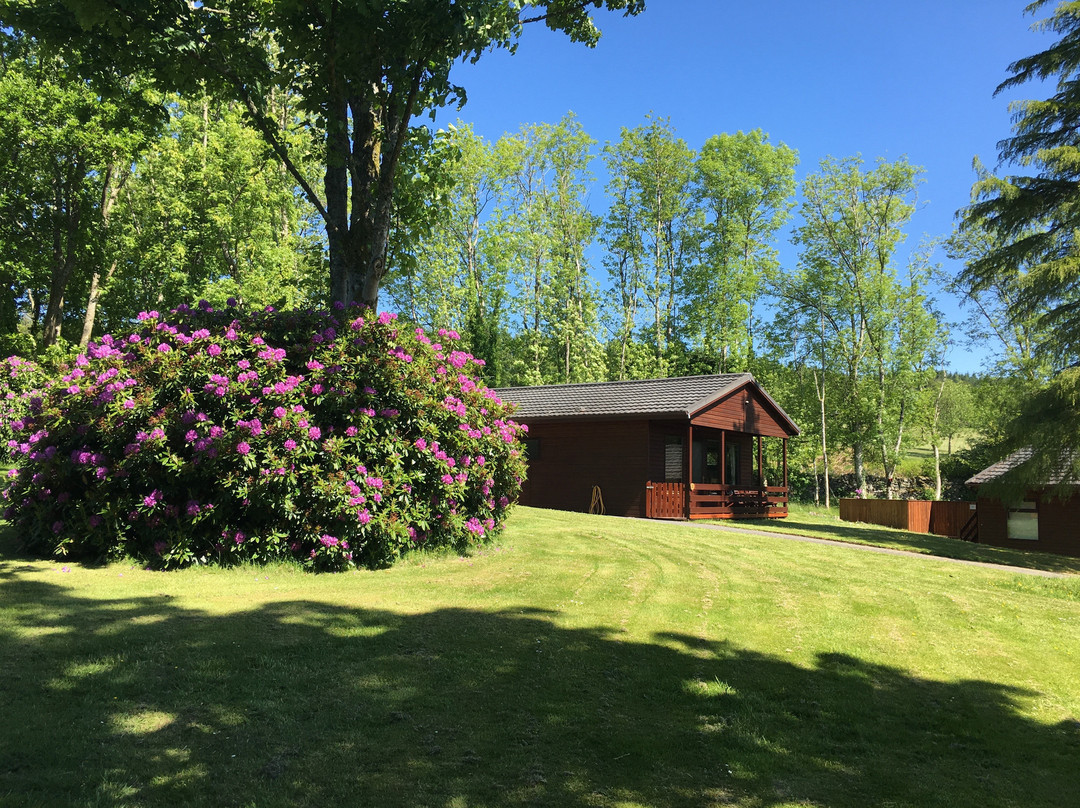 Conifer Lodges