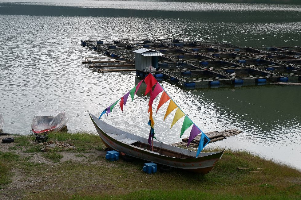 Ngebel Lake景点图片