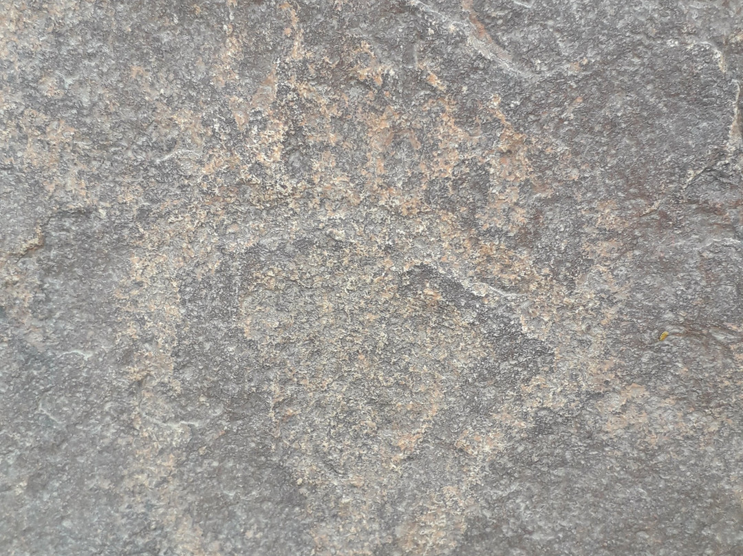 Petroglifos De Chichictara-Palpa必去景点