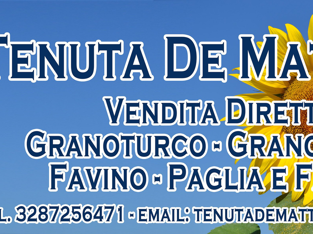 Tenuta De Matthaeis Molino A Pietra - Azienda Agricola景点图片