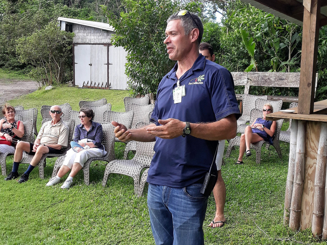 Bois Cotlette Estate-Saint Mark Parish必去景点