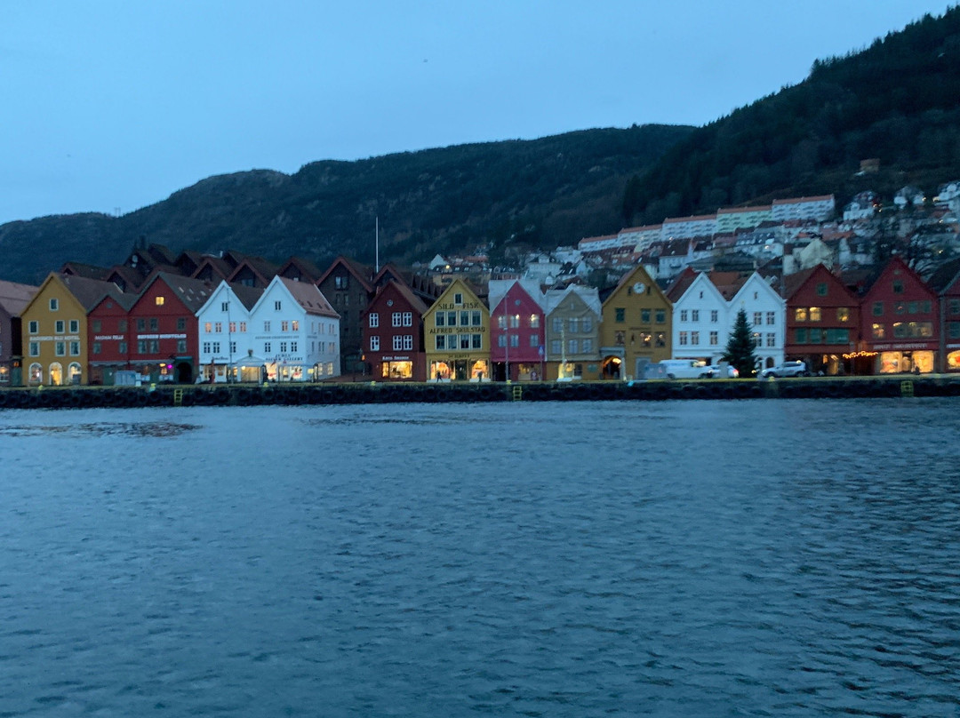 Bergen Fjord Adventures景点图片