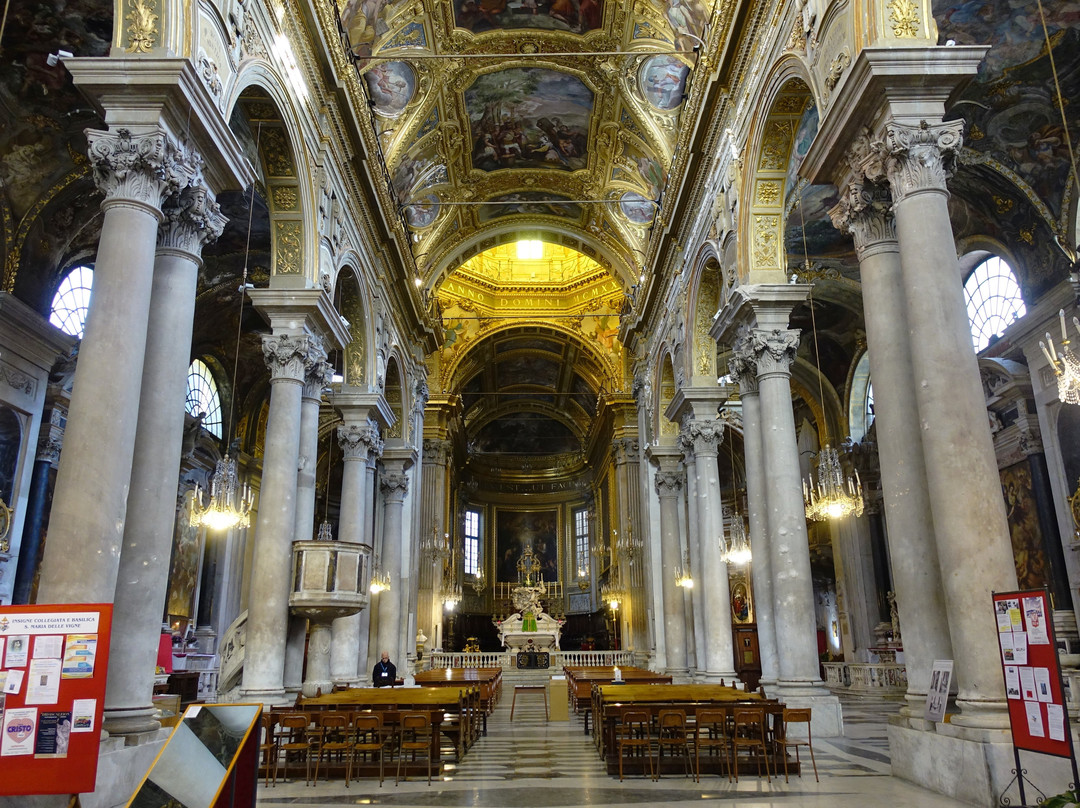 Basilica delle Vigne景点图片