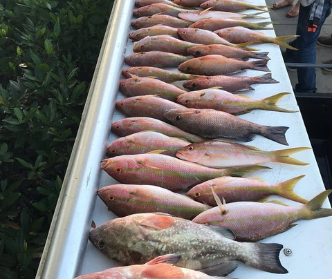 Hawgwild Fishing Charters-迈尔斯堡海滩必去景点