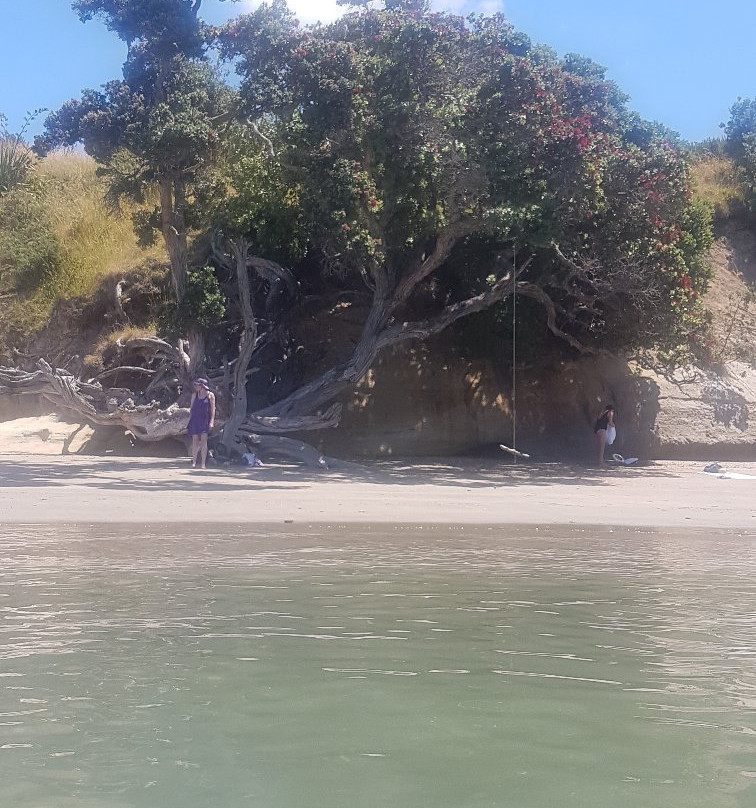 Motuihe Island-奥克兰必去景点