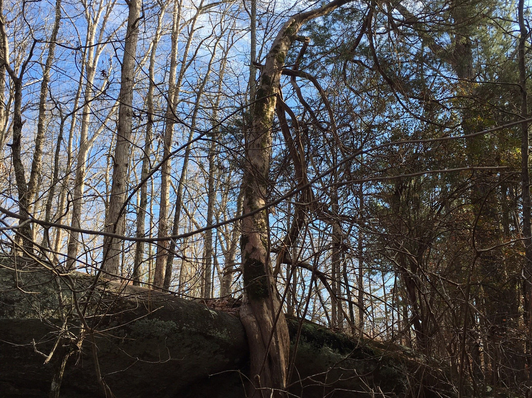 Harbins Park-Dacula必去景点