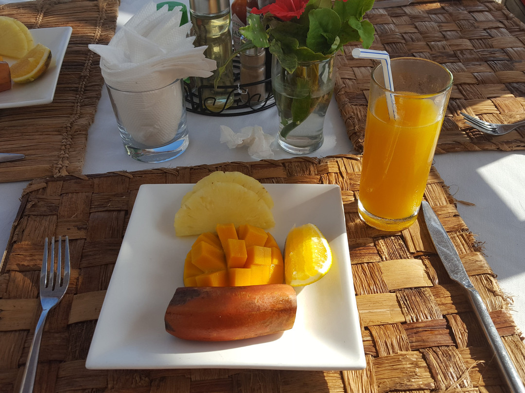 Sofia Sea View主图