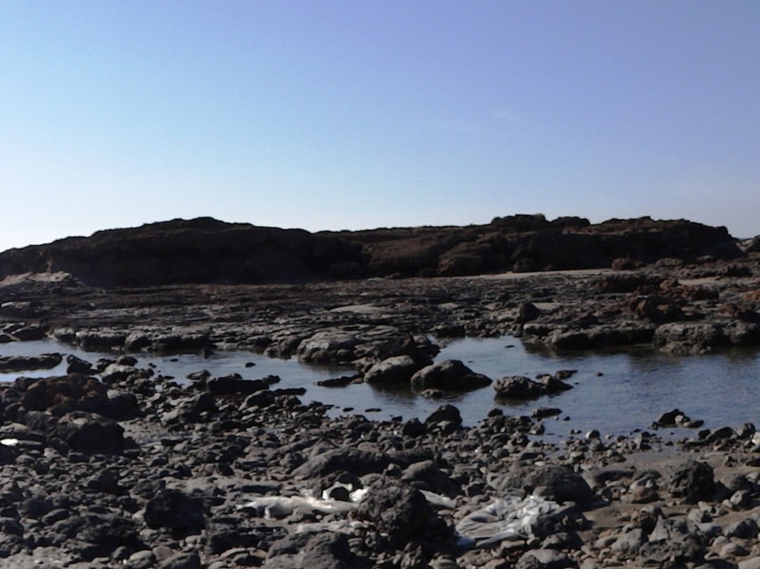 Caretta Turtles Egging Beach景点图片