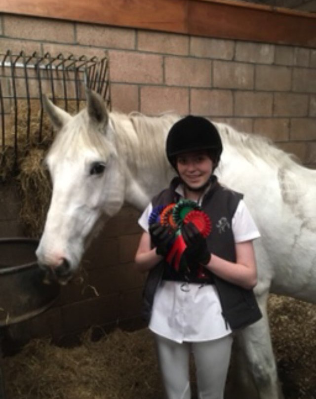 Ayr Equestrian Centre景点图片