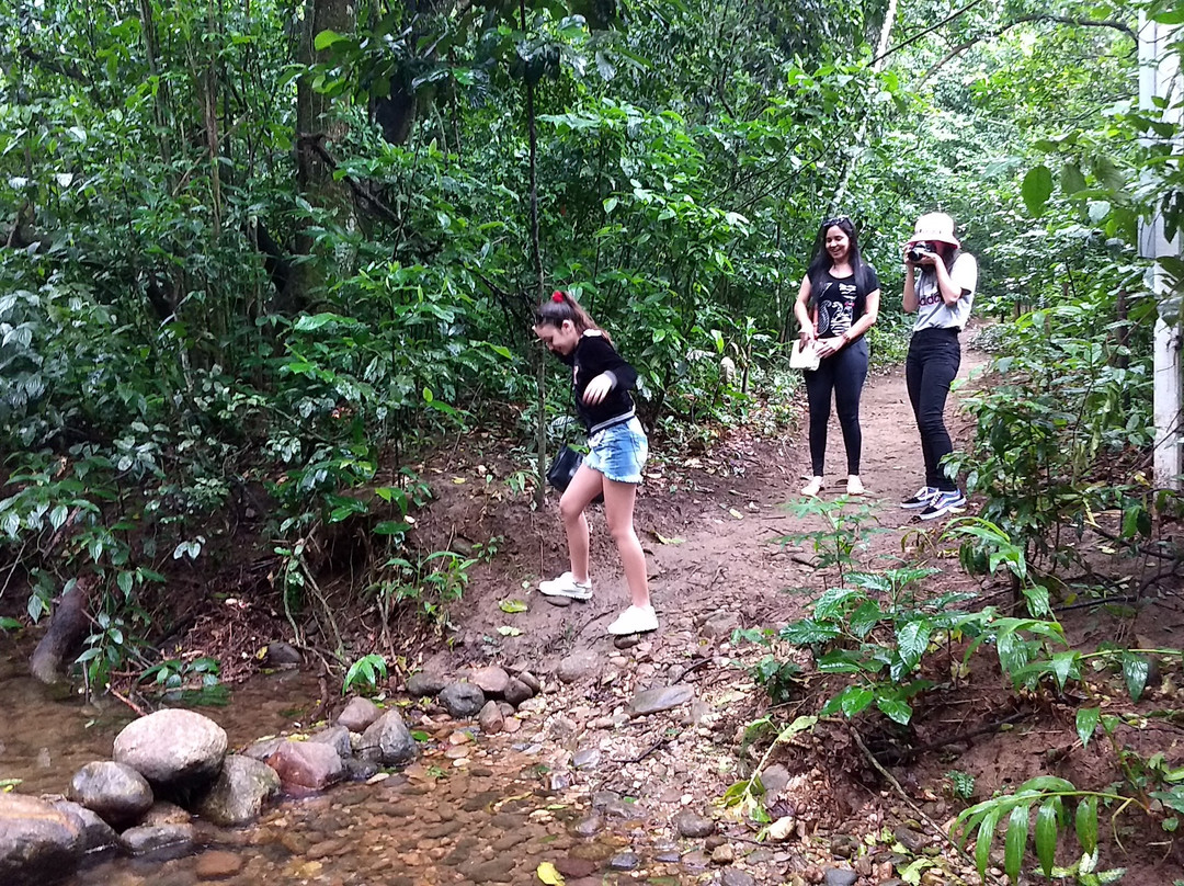 Parque Estadual do Cunhambebe景点图片