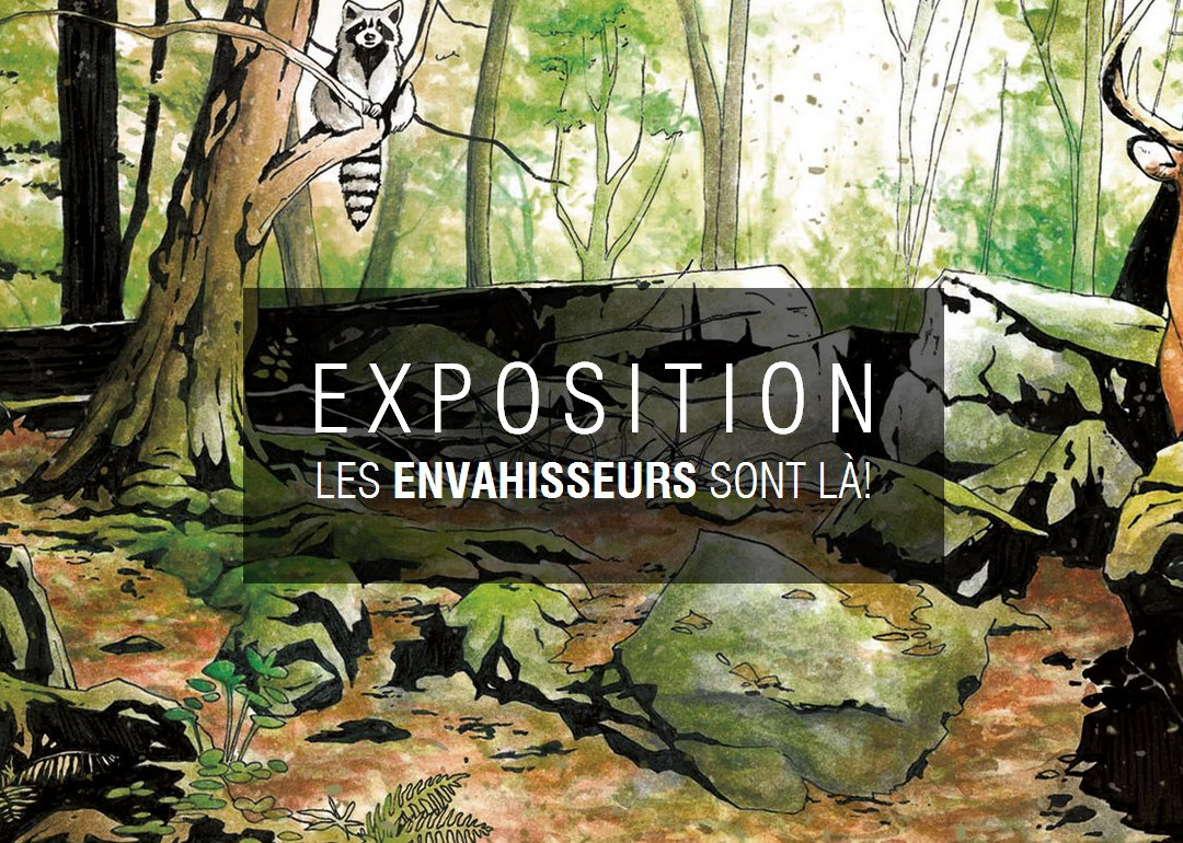 Musée de la Biodiversité du Québec-贝坎库尔必去景点