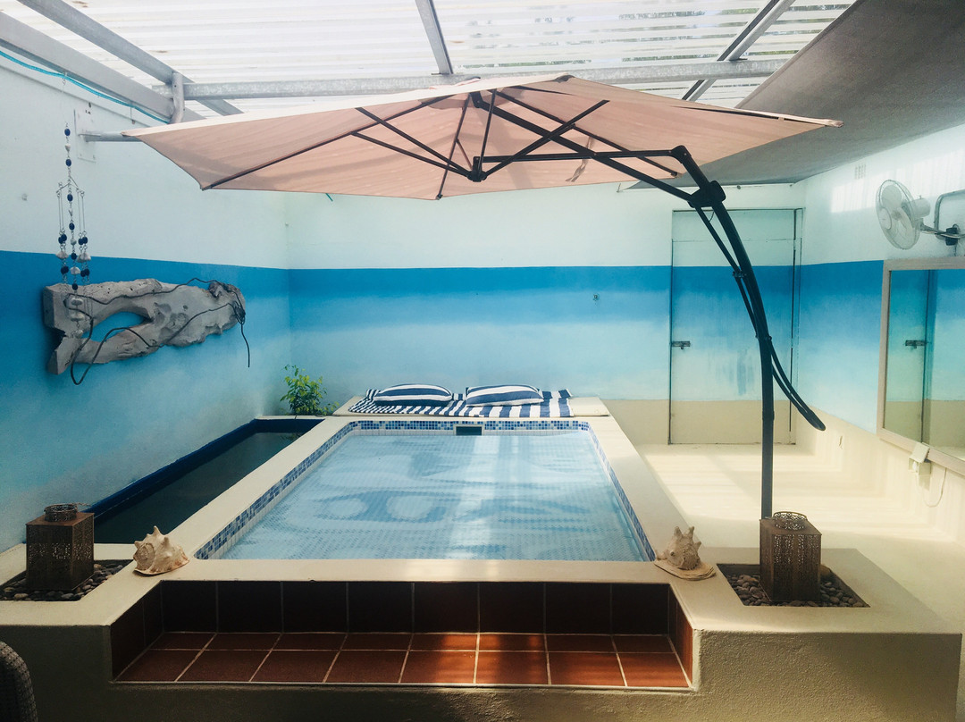 Grabouw酒店住宿-Elgin Valley Inn