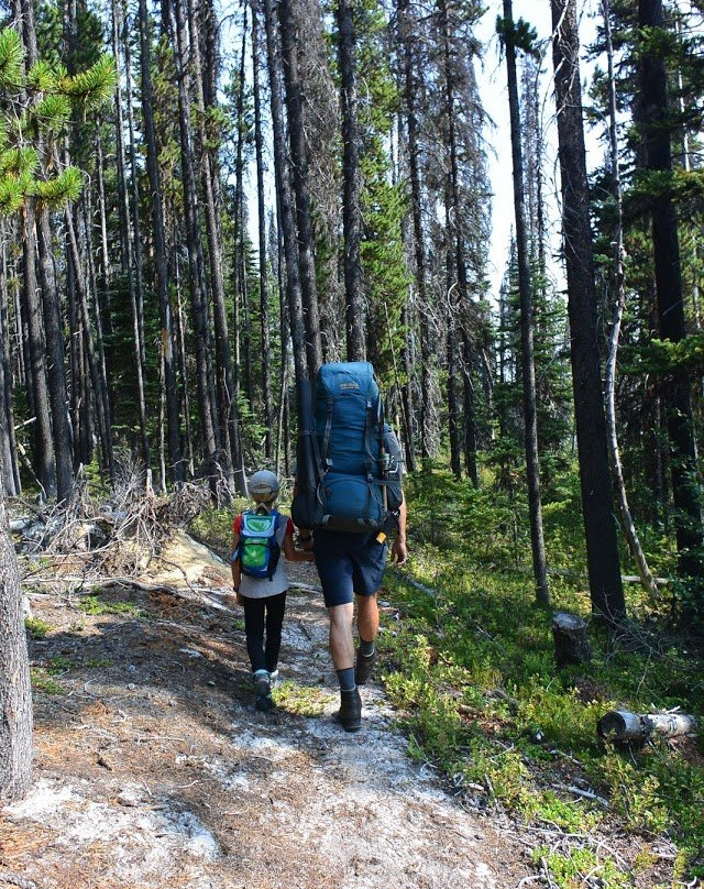 Stewart's Lodge & Camps主图