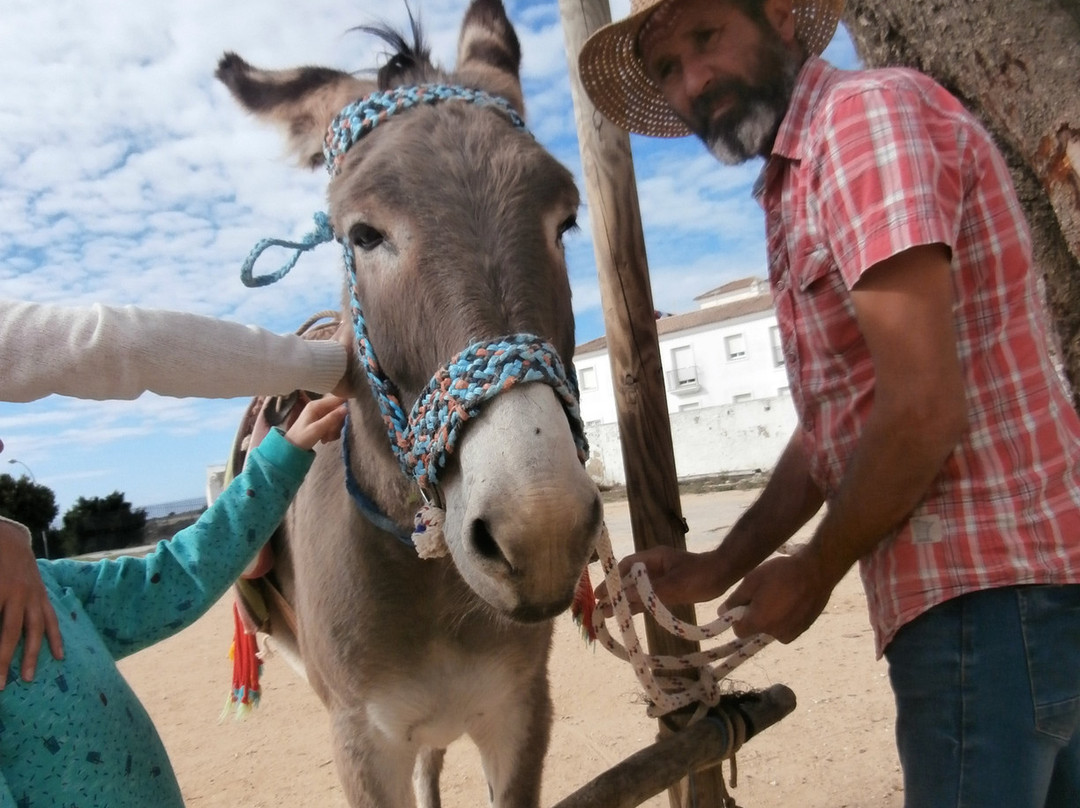 Los burros de Juanino景点图片