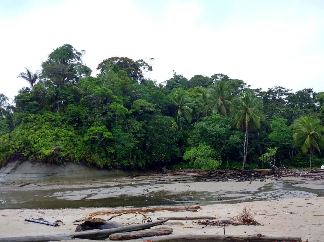 Hotel Magüipi主图